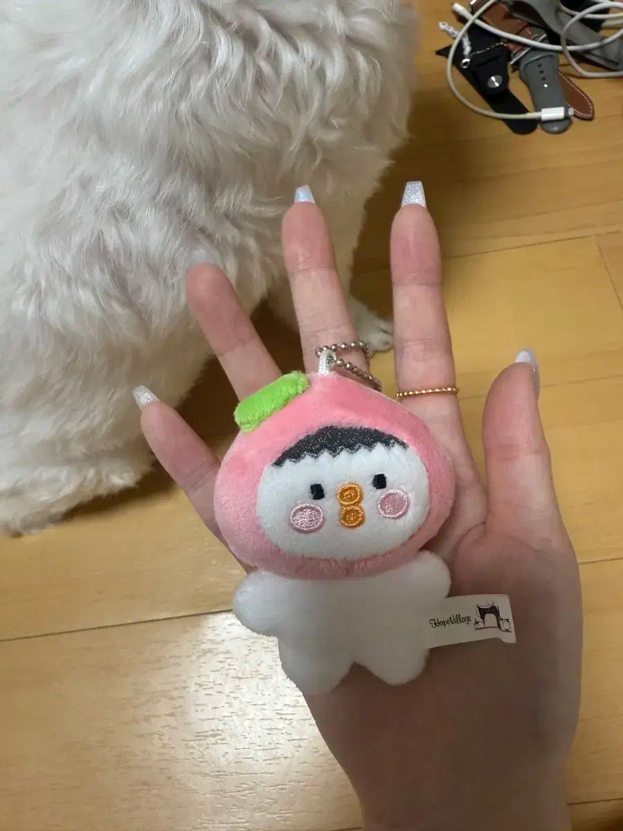 BTOB チャンソプ 愛犬グリちゃんぬいぐるみ 約15cm BTOB チャンソプ 愛犬 グリちゃんぬいぐるみストラップ付き 約