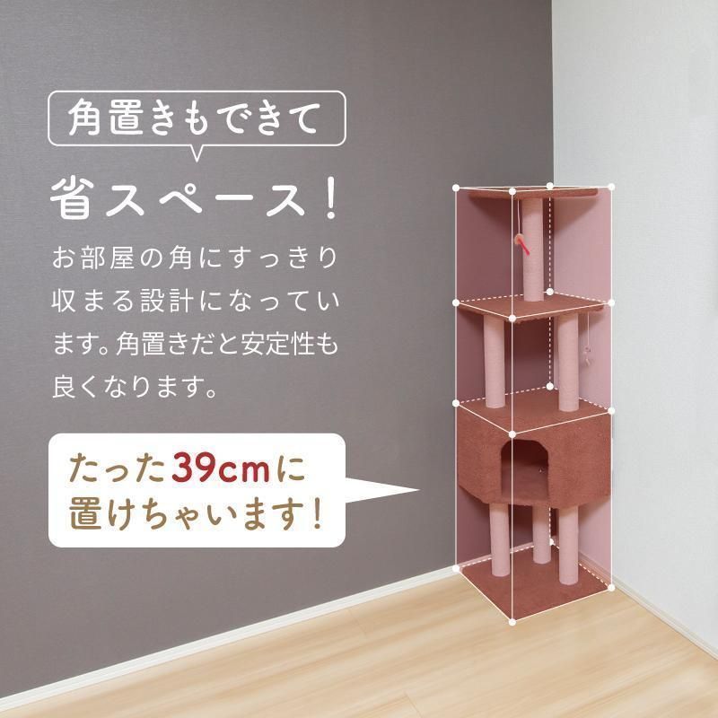 仔猫 子猫