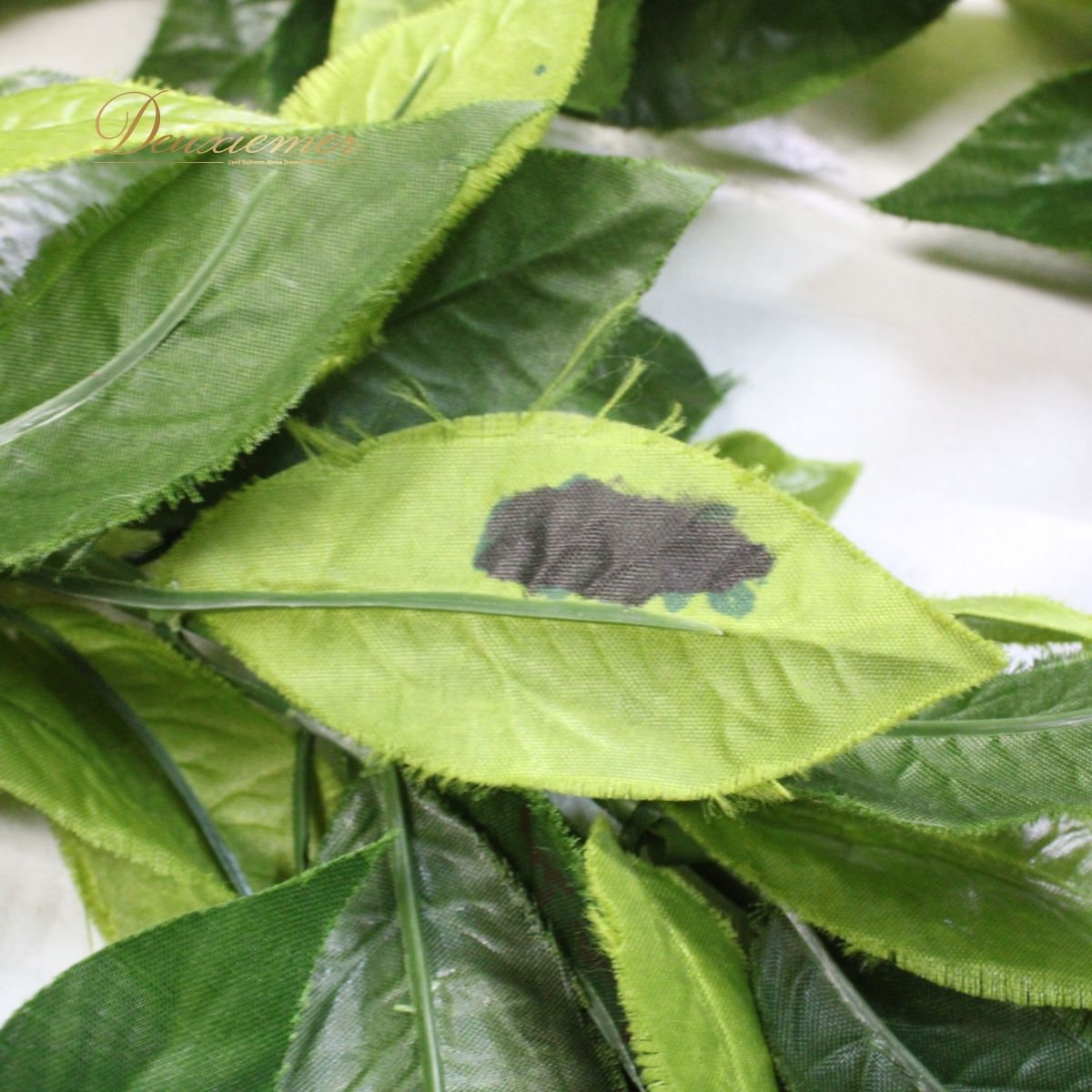 民族舞踊 ダンス用品