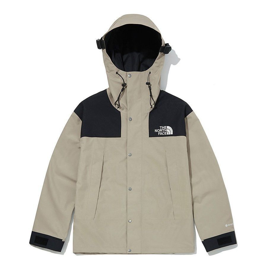 海外限定 THE NORTH FACE GTX GORE-TEX MOUNTAIN JACKET ノース 