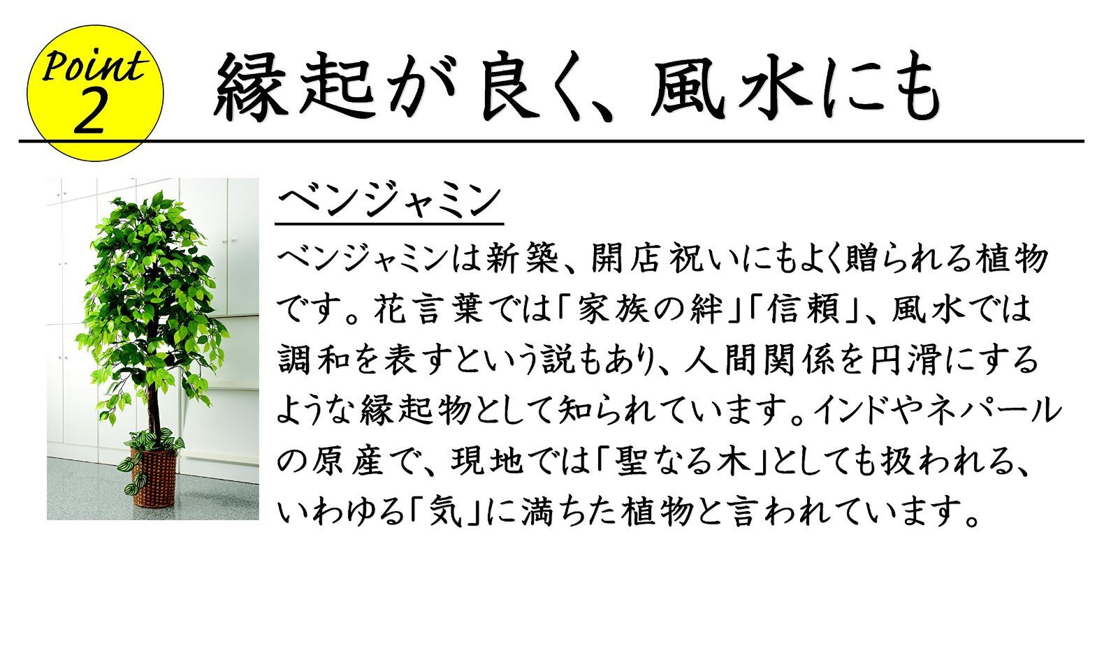 竹カゴ付き 大型 フェイクグリーン 幅70×高さ160cm 鉢付き 人工観葉植物 ベンジャミン ビータ Vita YUZUMIYA_COM