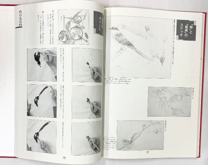 ワイド版 現代日本の花鳥画 1〜4  全4巻 ワイド版 現代日本の花鳥画 1〜4 全4巻 ワイド版 現代