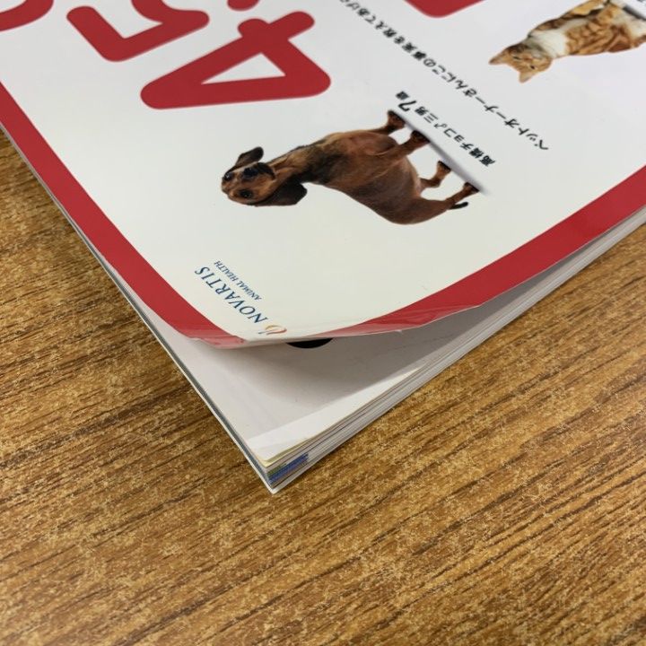 △01)【同梱不可】小動物循環器科専門誌 Veterinary circulation
