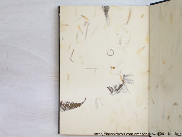ひたくれなゐ　特装版101部　毛筆識語署名入/斉藤史/不識書院*34070 ひたくれなゐ 特装版101部 毛筆識語署名入 毛筆識語署名入&frasl;斉藤史&frasl; [25108] 毛筆識語署名入&frasl;斉藤史&frasl;不識書院*34070
