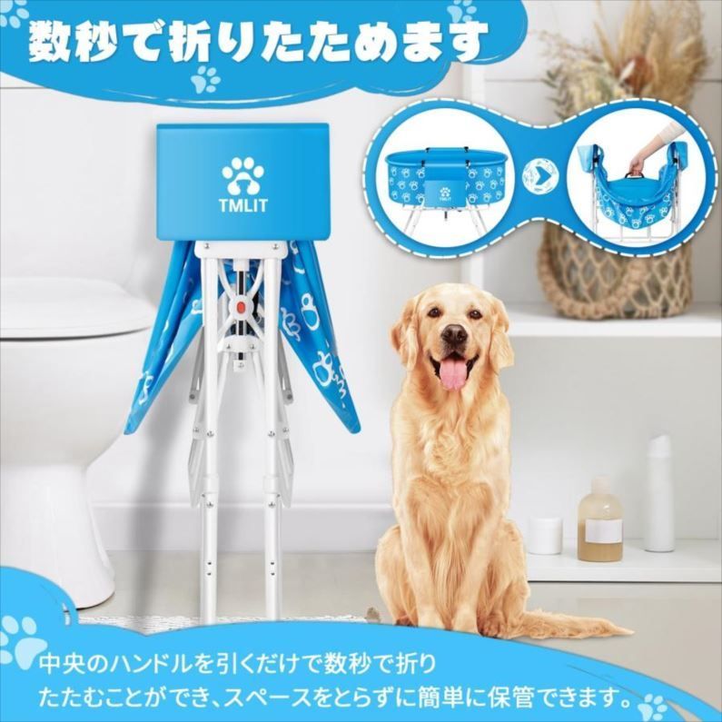 犬