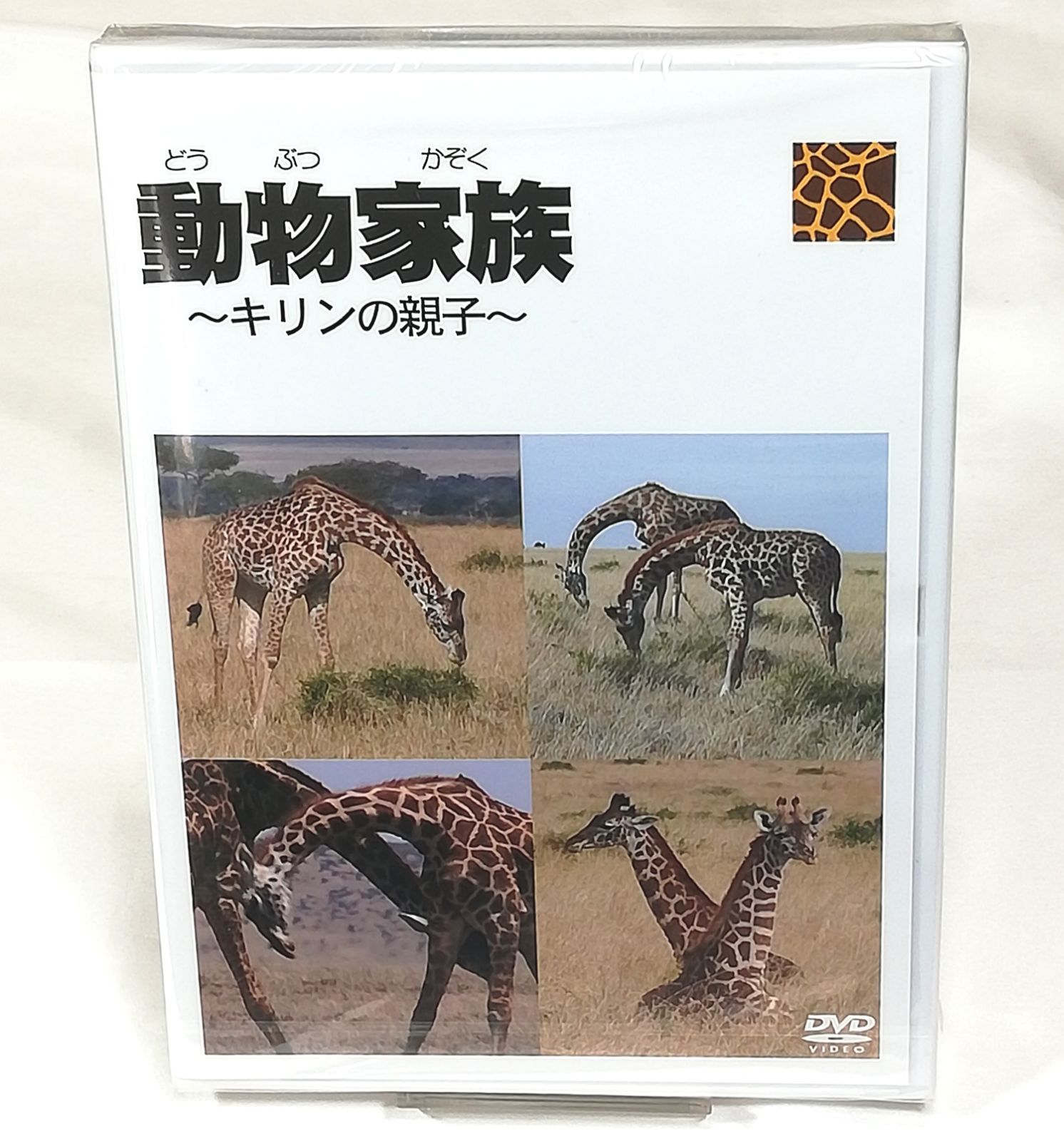 新品DVD ◇ 動物家族 アフリカ編 キリン - メルカリ