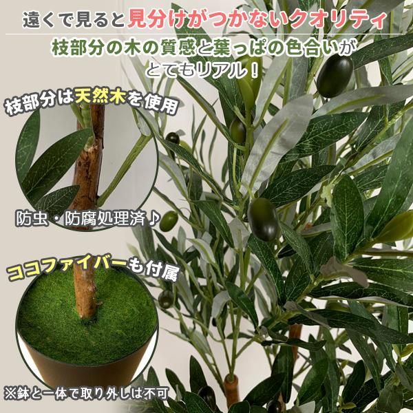 フェイクグリーン オリーブ 125cm 大型 鉢付き 観葉植物フェイク フェイクグリーン オリーブ 125cm 大型 鉢付き 観葉植物フェイク