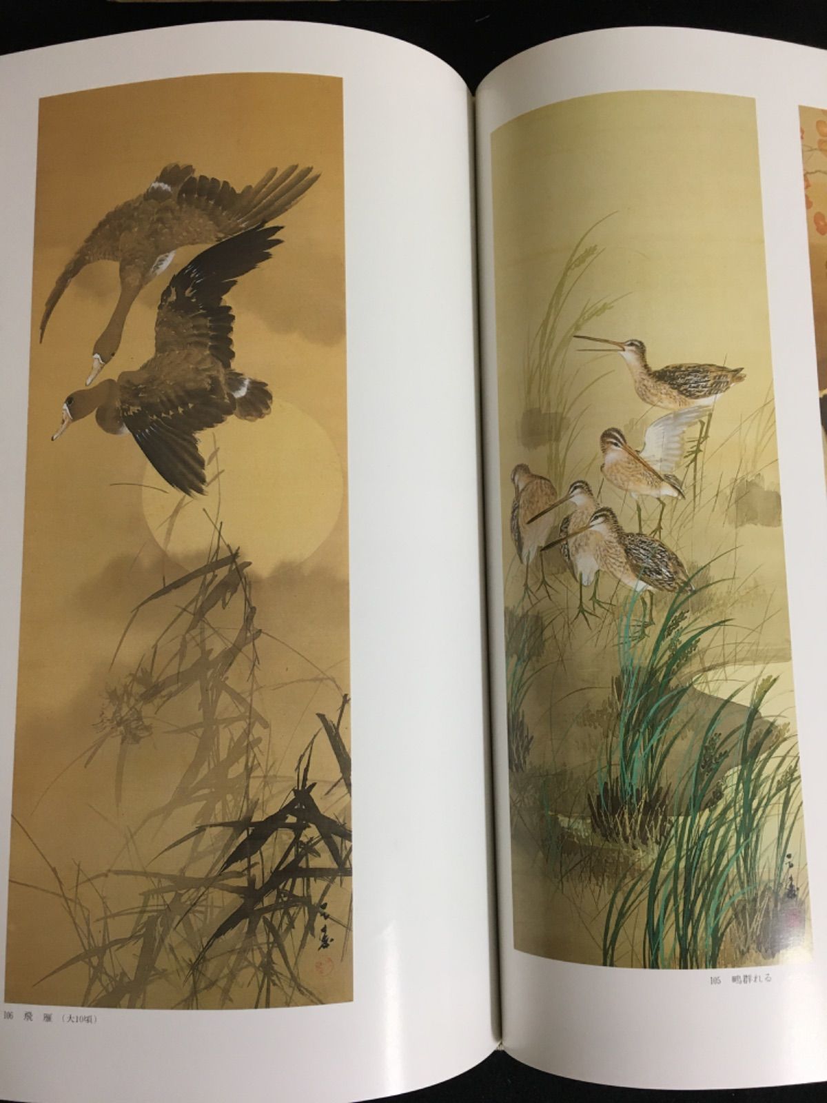 天寿・梅子画集 江森天寿・石川梅子/京都書院/江森天寿（大型本） 天寿・梅子画集 江森天寿・石川梅子/京都書院/江森天寿（大型本）