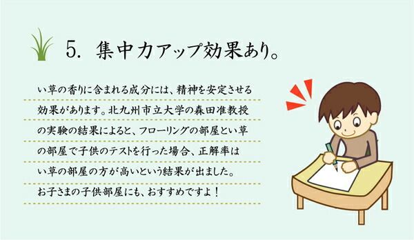 防臭 調湿効果付き