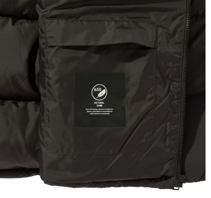 ☆新品未使用「送料込」/JackWolfskin//ASIA ROEMERTOR JKT M / M