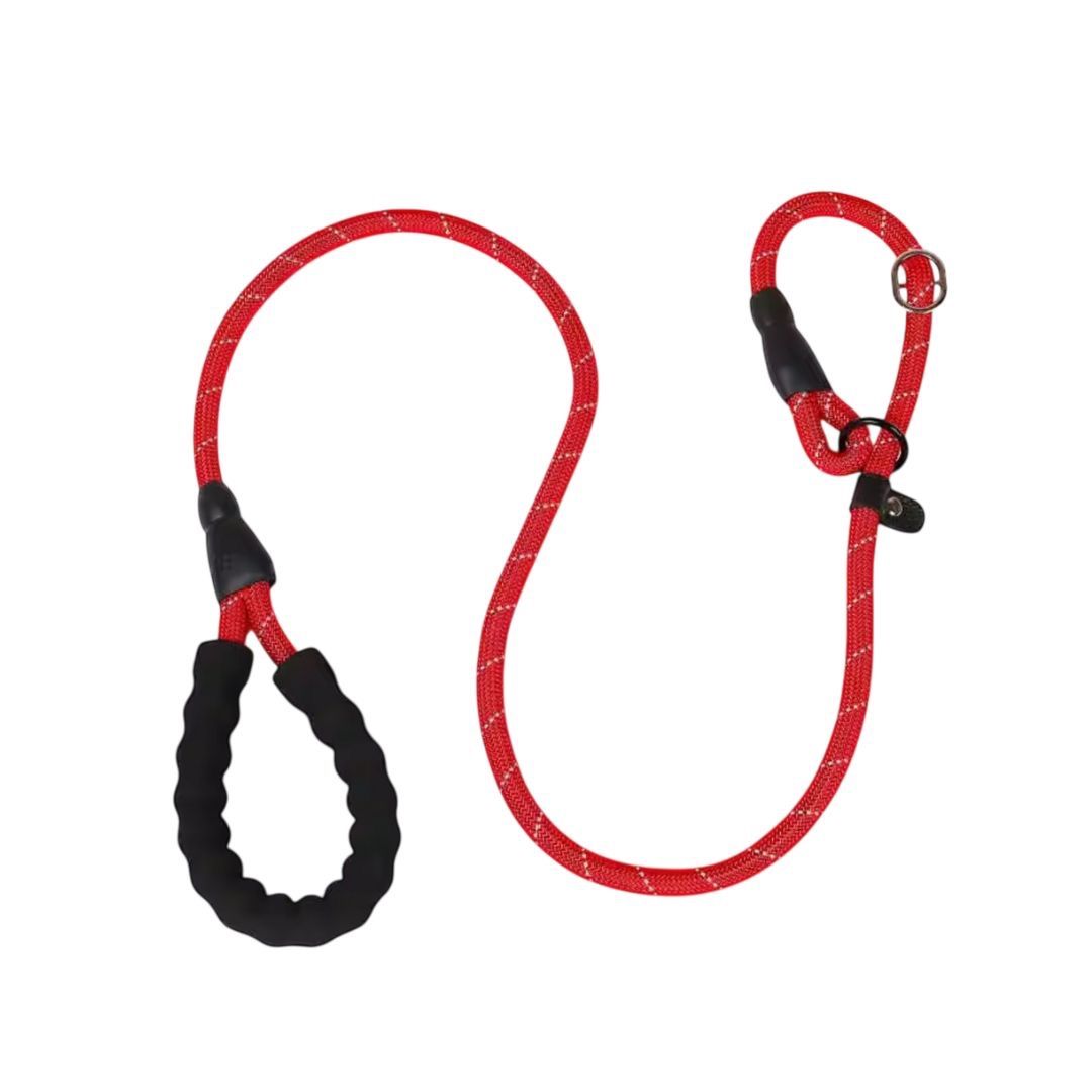 犬リード スリップリード 首輪セット ハーフチョーク 小型犬 中型犬 首輪とリード一体型 レッド 赤 反射材入り