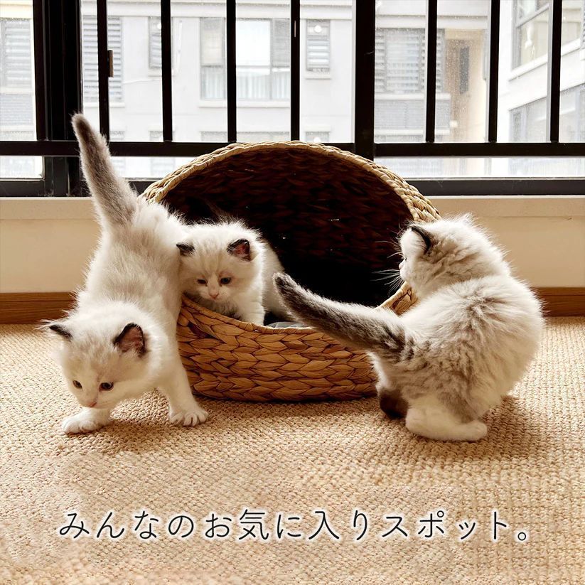 ヘリンボーン手編みボタニカルちぐらca615
