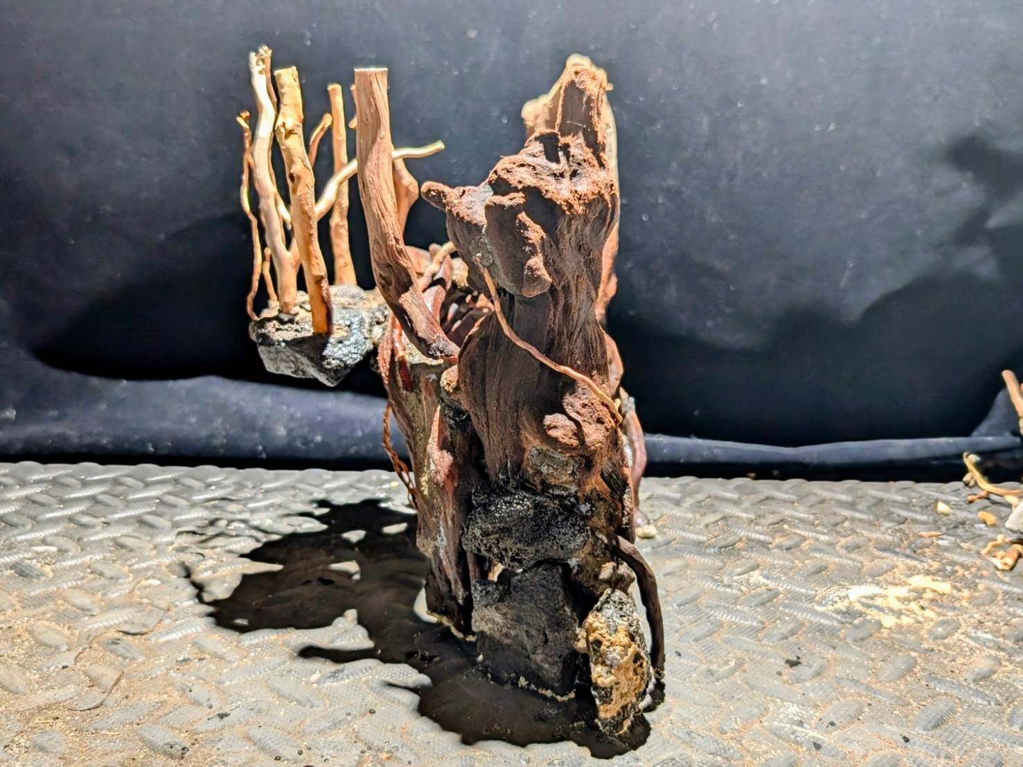 MRW-6098 特大赤系流木 90cm水槽用流木 一点物 アクアリウム 広がっ