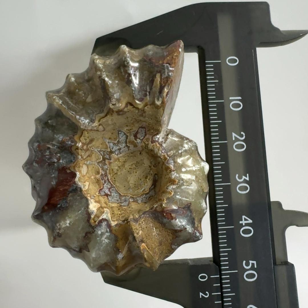 FA-241 FACTORY900 黒 (度ありとなしレンズ付) ケース付き