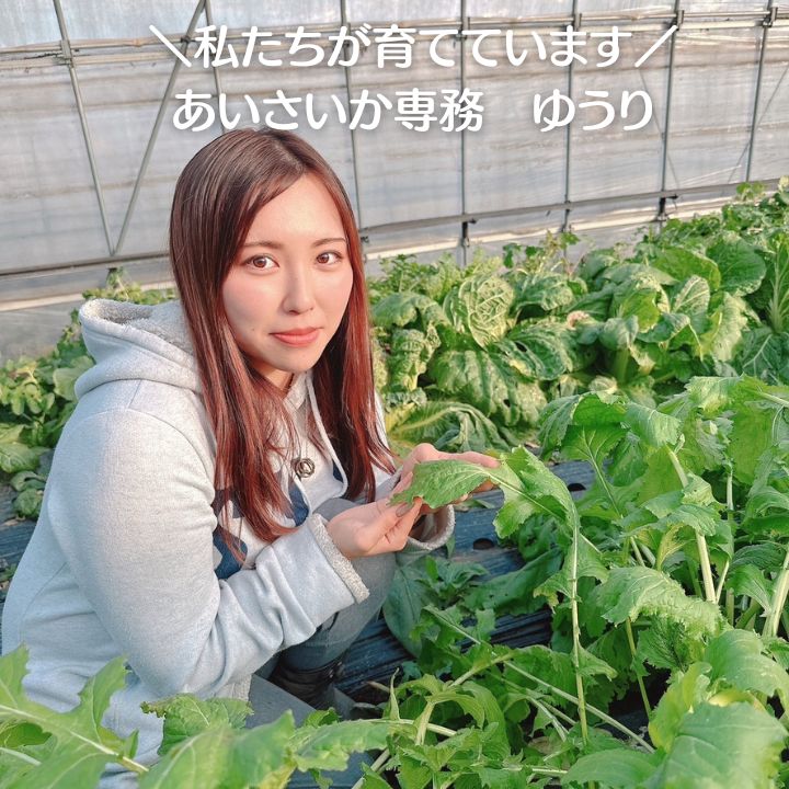 広島県産野菜詰合せ 産みたて赤卵10個つき - メルカリ