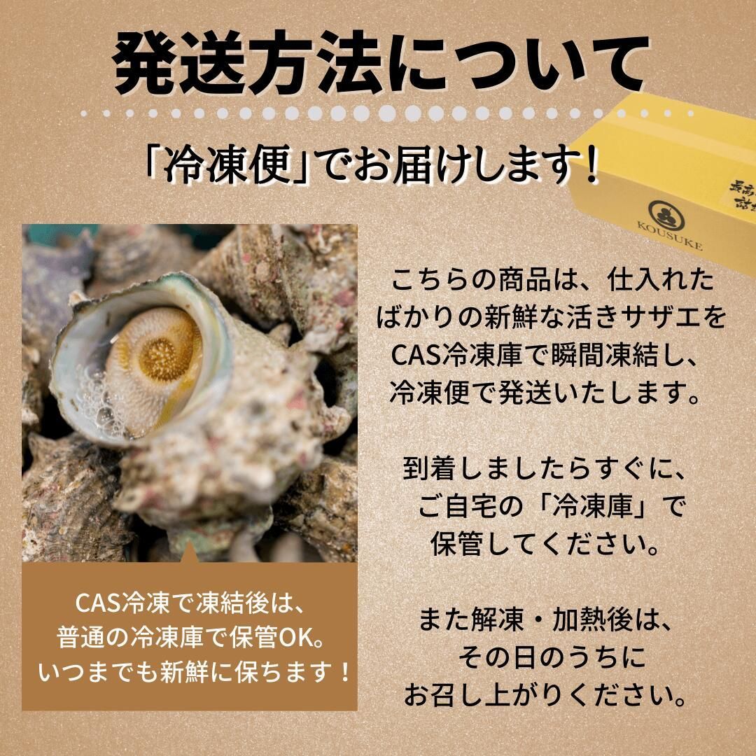 サイズおまかせ・国産生サザエ3kg（海鮮BBQバーベキューに）新鮮！冷凍 さざえの壺焼き