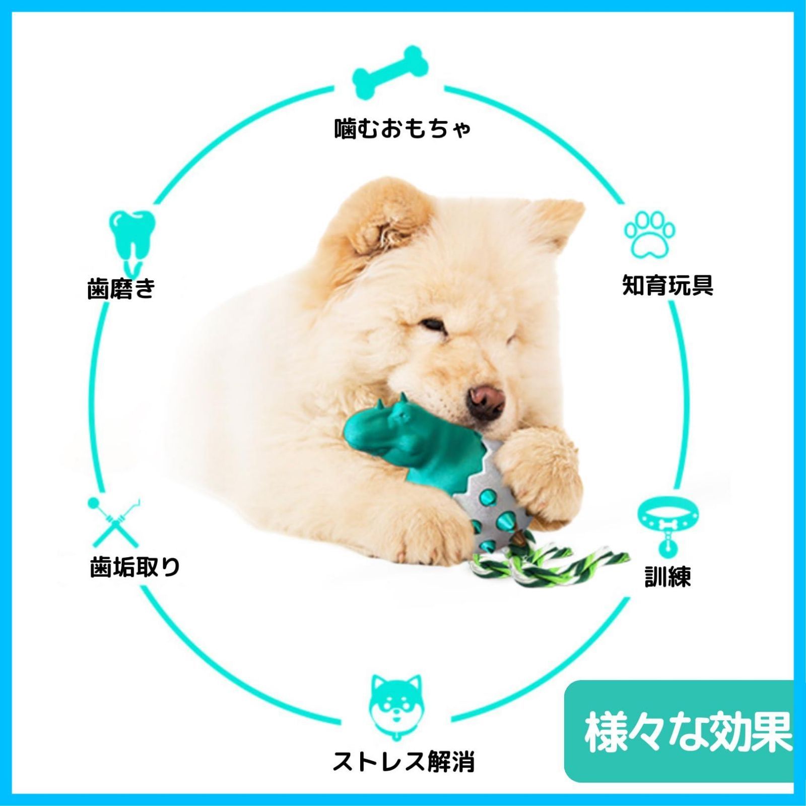 噛むおもちゃ