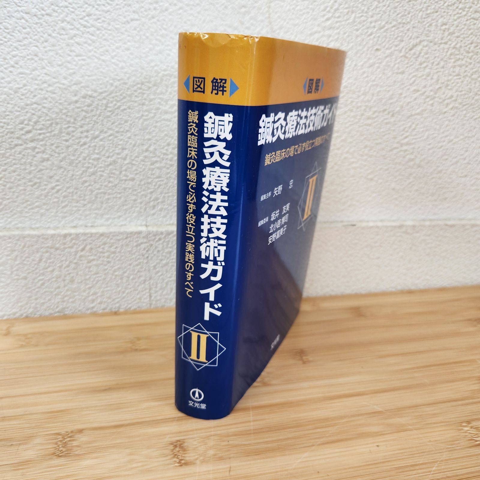 図解】鍼灸療法技術ガイドII 鍼灸臨床の場で必ず役立つ実践のすべて 文光堂 - メルカリ