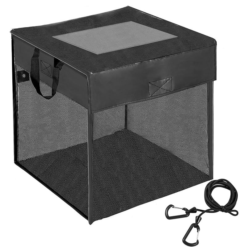 THXE80%RICHリキッド 週1販売枠 限定販売 永久チケット付