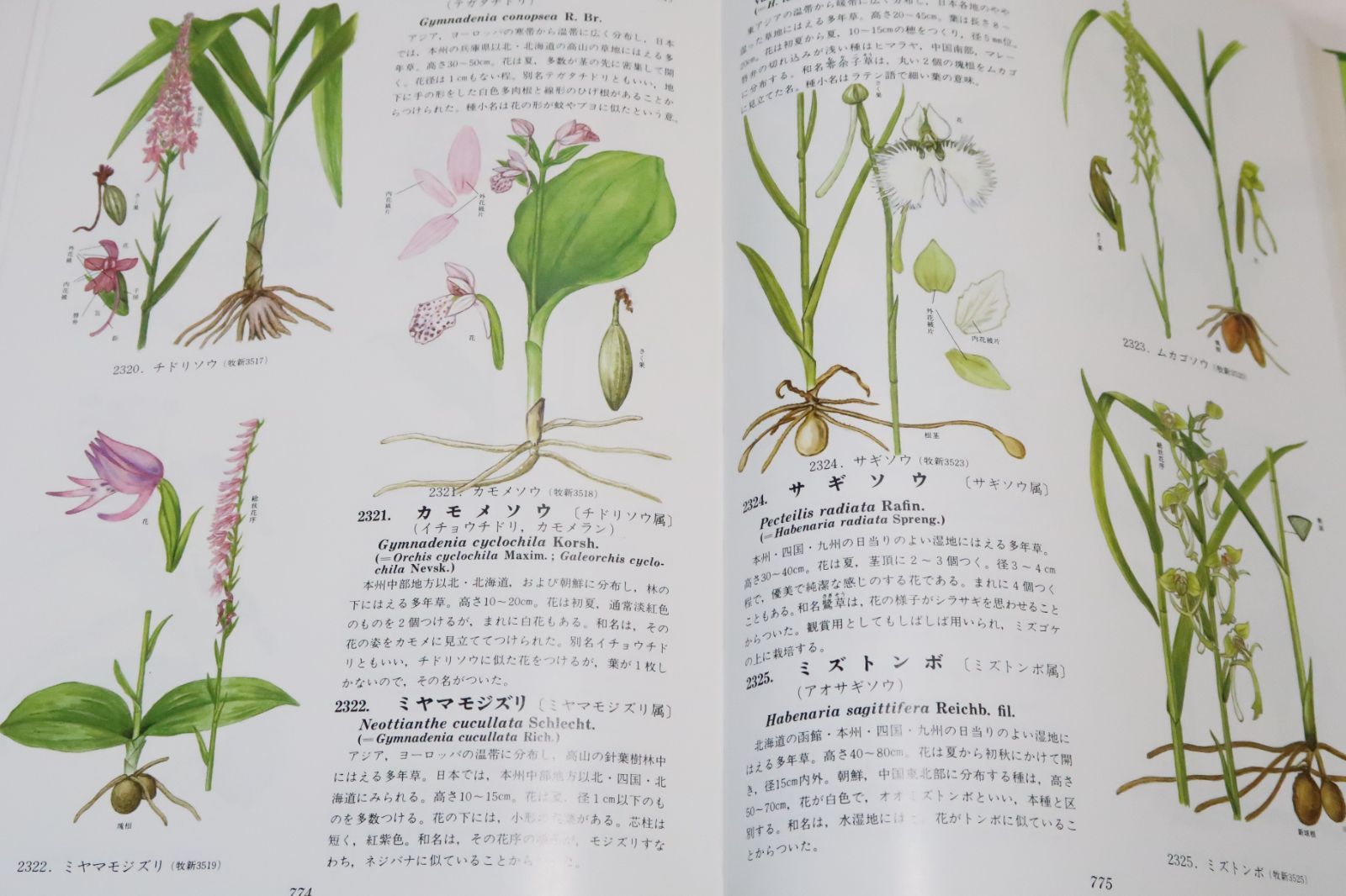 激安日本 原色牧野植物大図鑑 続編 【公式通販】