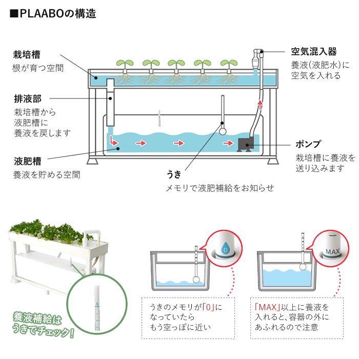 野菜