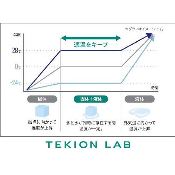 【新品未使用】デサント クーリング手袋 適温蓄冷材付き 両手用 コアクーラー TEKIONグローブ DAT-9000 冷感 クール ひんやり ランニング ウォーキング 散歩 夏 保冷 涼しい 猛暑対策 熱中症対策グッズ 冷たい 涼しい ギフト