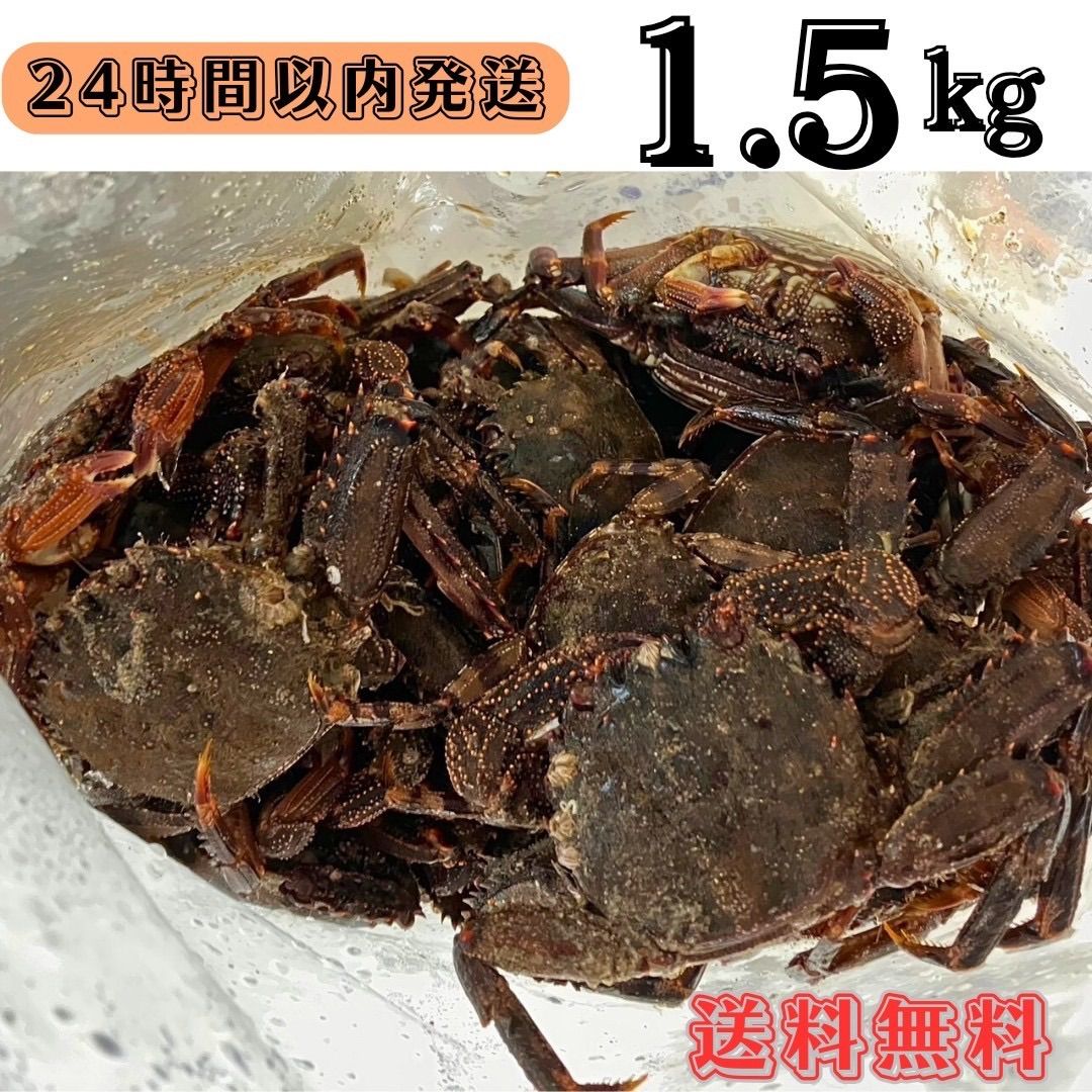 冷凍ショウジンガニ 1.5kg (約45匹) 石鯛 石垣鯛 黒鯛 釣り餌 マガニ - メルカリ