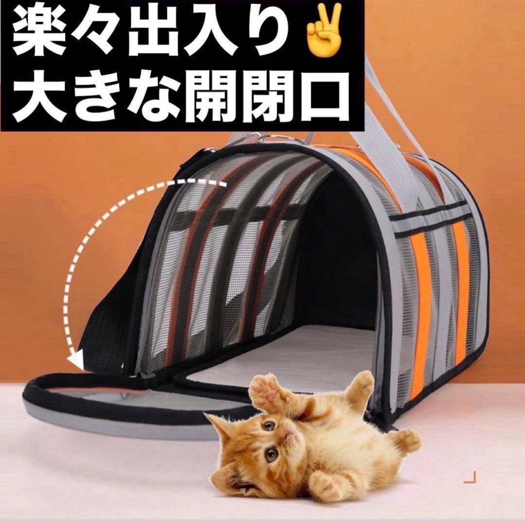 犬 メッシュ
