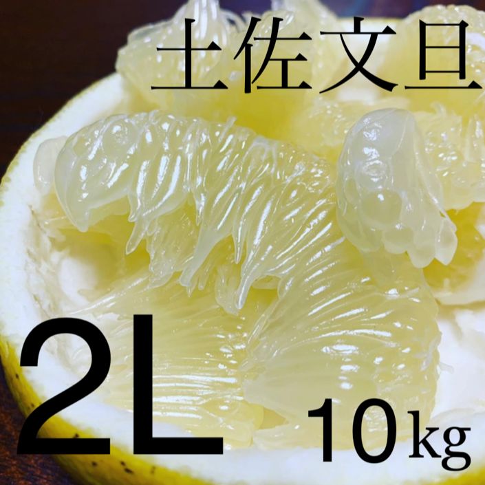 高知県産　ご家庭用　わけ有り　土佐文旦10kg　メルカリ　２Lサイズ　減農薬　農家直送　シトラス