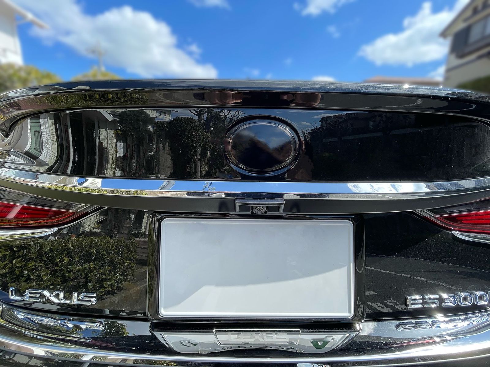 LEXUS ES300h スモークフィルム風　サンシェード Tint+何度も貼れる エンブレム スモークフィルム(ブラック