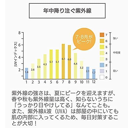 日やけ止めクリーム スチームクリーム
