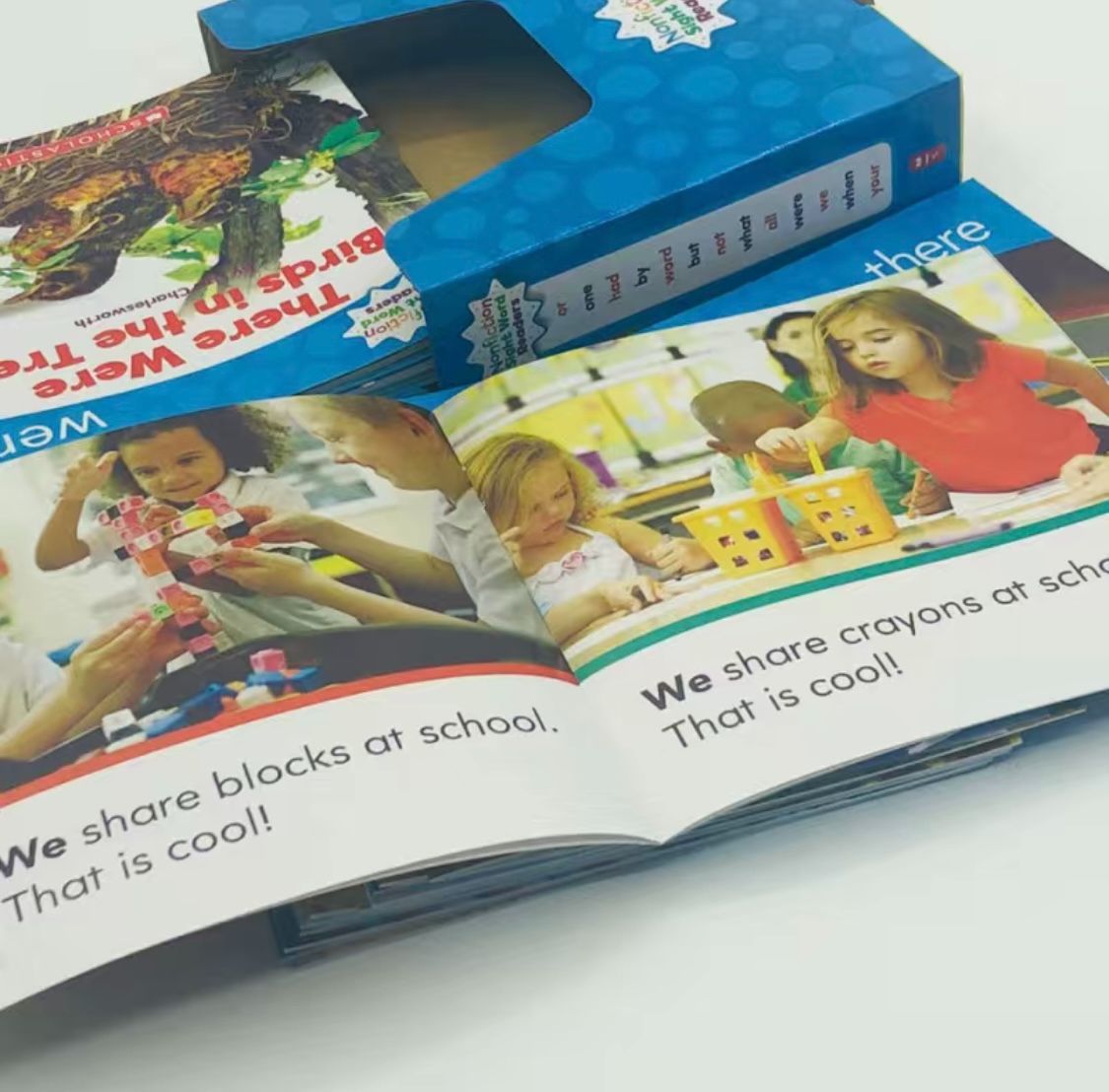 Nonfiction sight readers  英語絵本 多読　サイトワーズ 特典付 Scholastic Nonfiction Sight Word Readers 全4巻 100冊セット