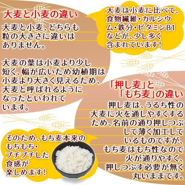 キラリモチの食物繊維は 精白米の約25倍! もち性大麦 (キラリモチ) キラリモチの加工・販売｜株式会社キラリフーズ