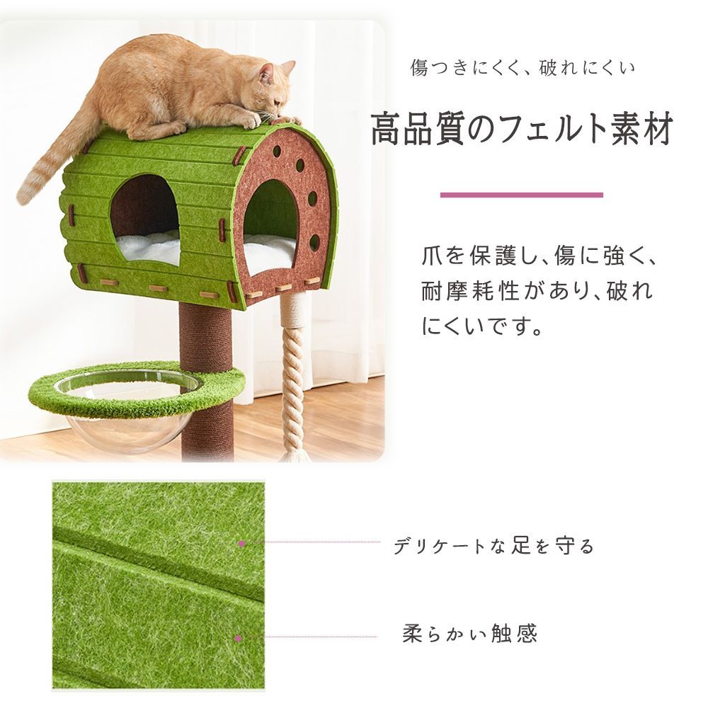 展望台 グリーン