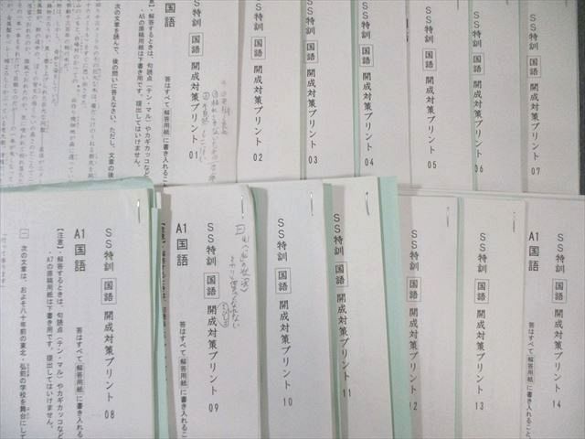 2025 お歳暮【公式】 - 人気ブランド サピックス 小6 SAPIX SS特訓 通年 開成対策プリント01～14 語学・辞書・学習参考書