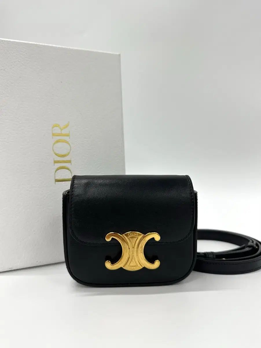 Celine セリーヌ トリオンフ ミニー クロード