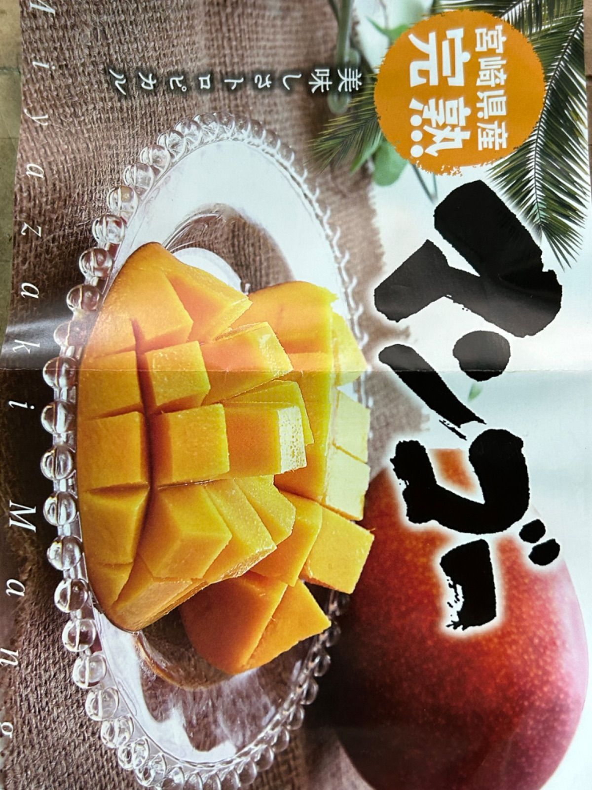 3L 2玉