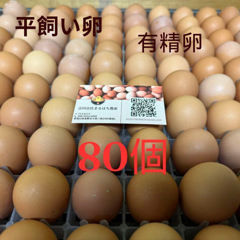 ヒヨコ　600羽　ふわふわ鮮度抜群！ Amazon.co.jp: 池田工業社 おもちゃ 水遊び ぷかぷかたまご