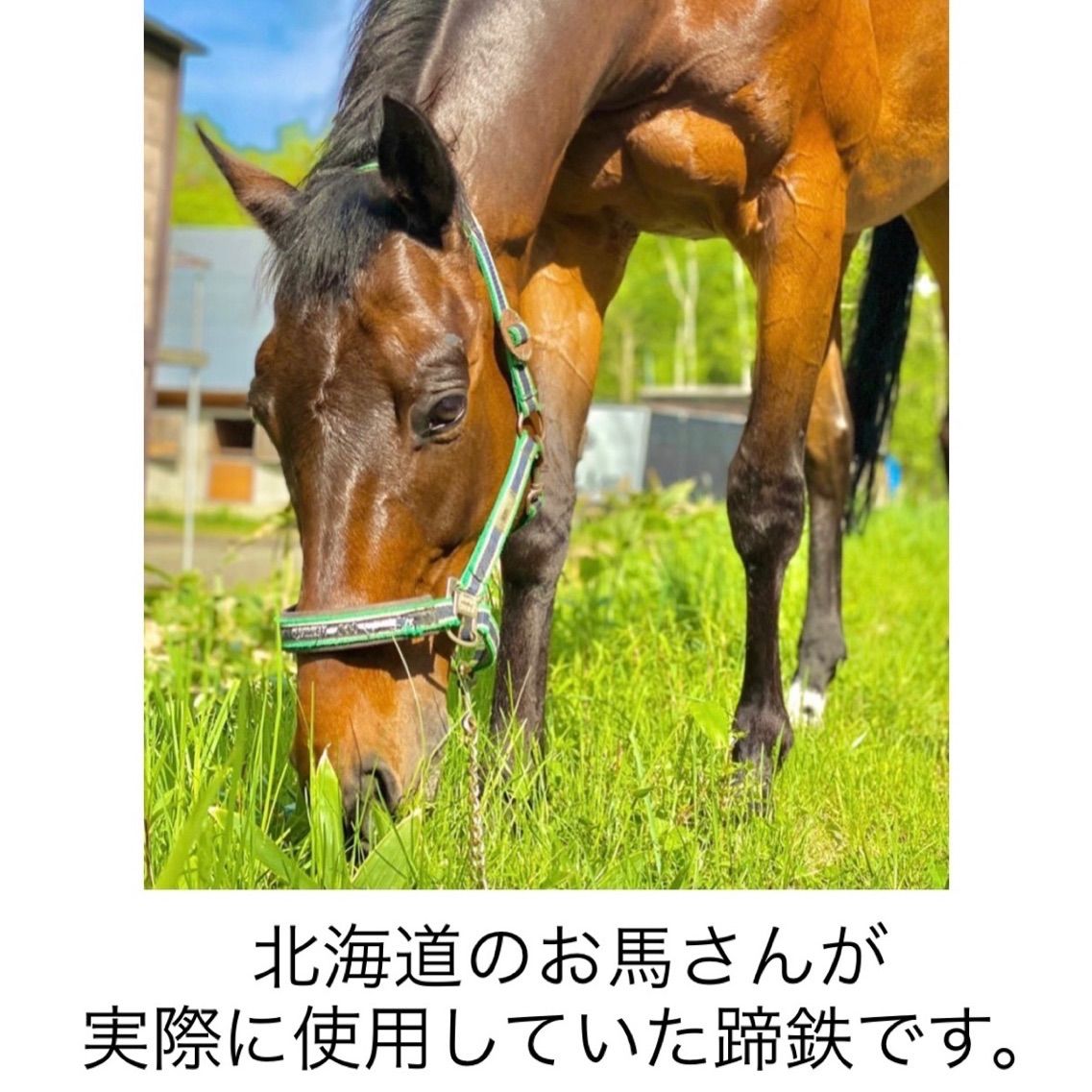 未使用の競走馬用蹄鉄2枚を飾ったボード - その他