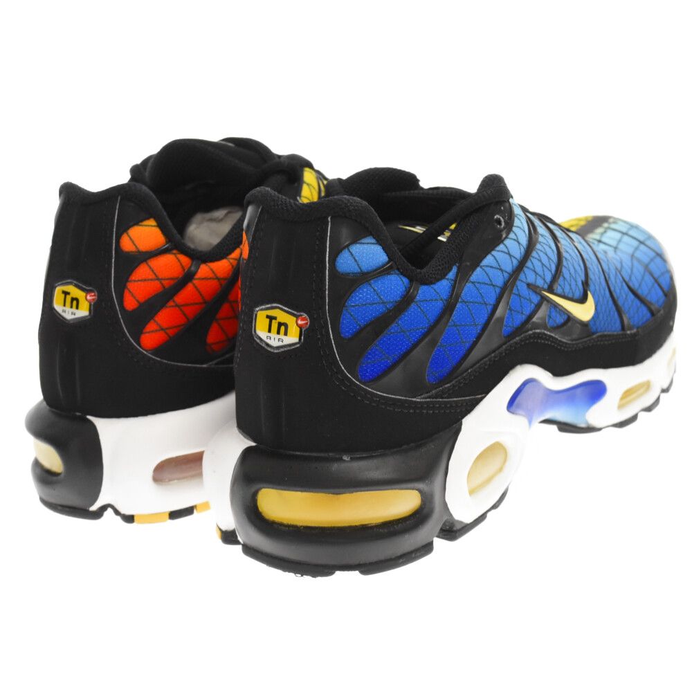 NIKE (ナイキ) AIR MAX PLUS TN SE GREEDY 20th Anniversary エアマックス プラス グリーディー  ローカットスニーカー マルチ US10/28cm AV7021-001 - メルカリ