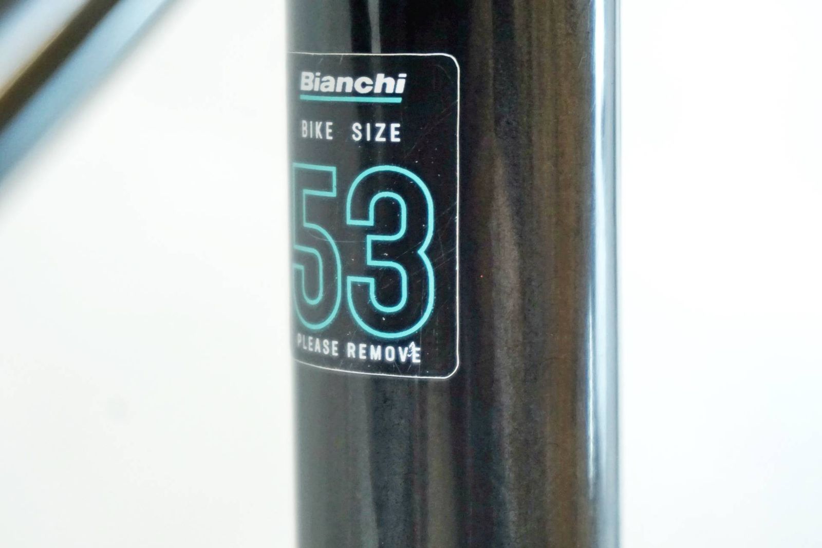 SPECIALISSIMA DISC