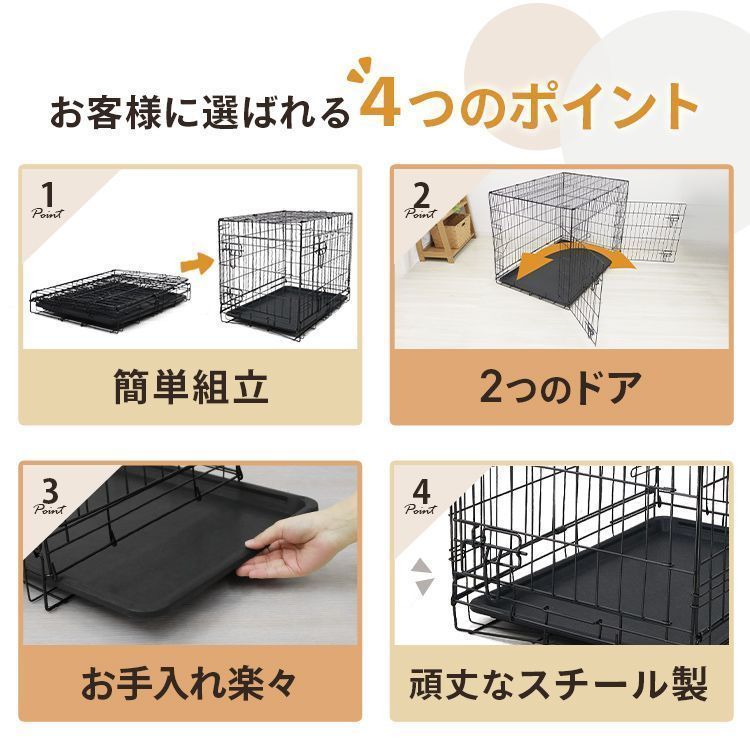 ソテツ 4 ソテツ 4号ポットつき 8株❗ ② ソテツ 4号ポットつき 8株