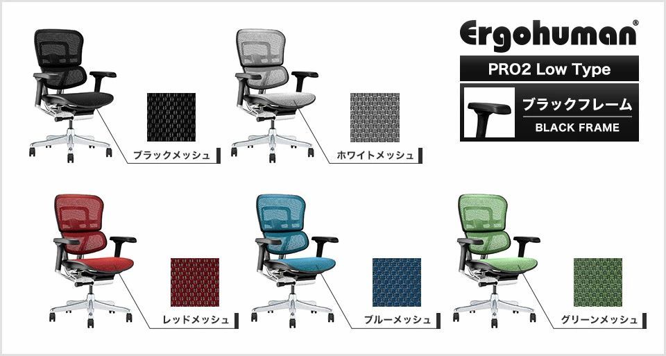 公式販売店 エルゴヒューマン2
