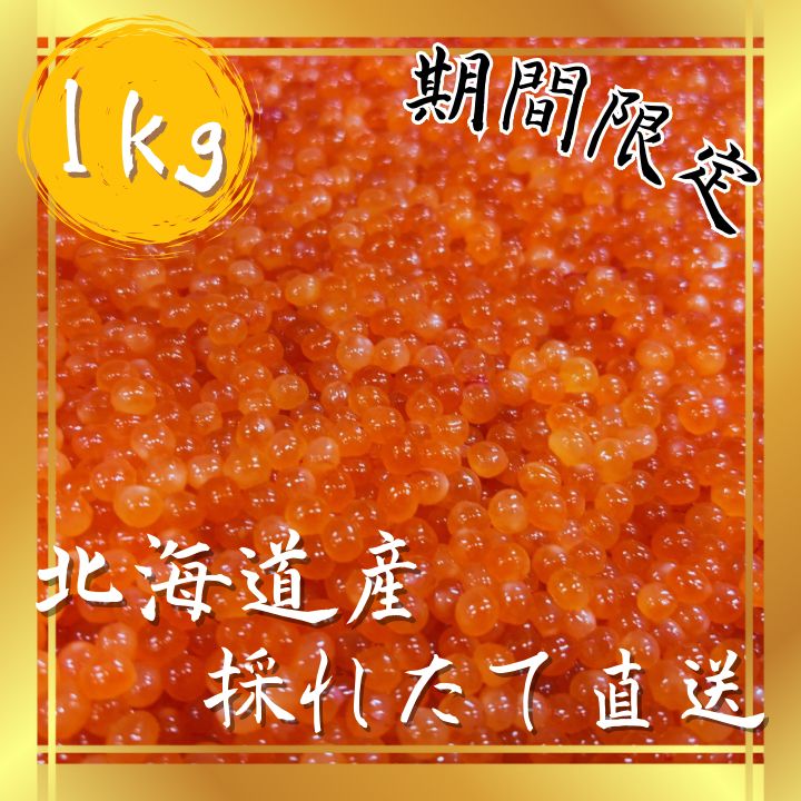 期間 北海道日高産 天然秋鮭 とれたて直送 小粒ながらも濃厚な味わいの生いくら バラ子