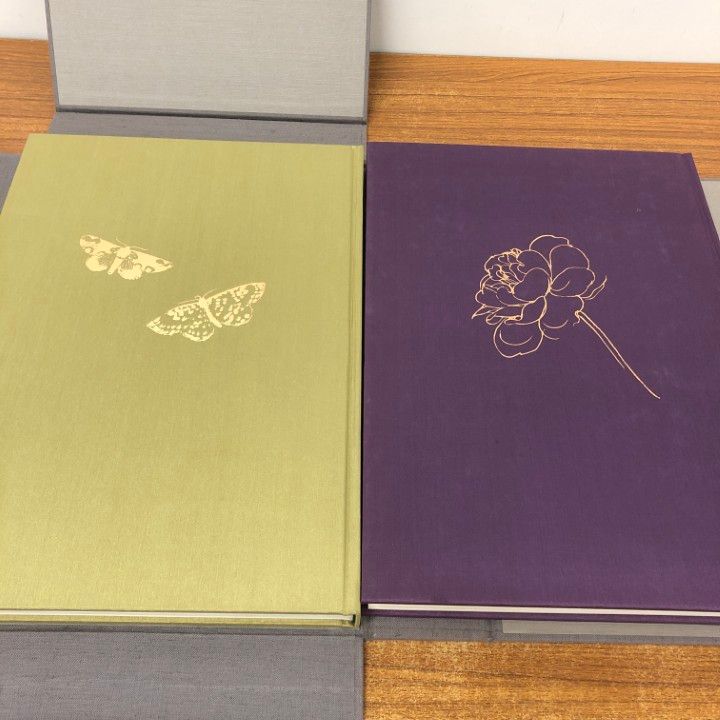 □01)【同梱不可】御舟 速水御舟作品と素描 全2巻/光村図書出版
