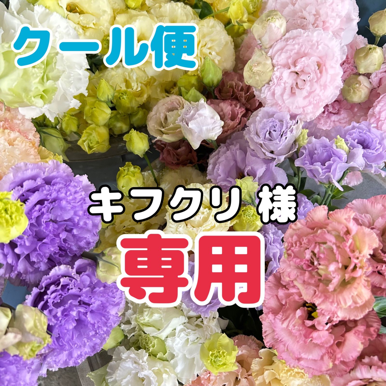 ままさん専用 ハリー・ポッター 宇宙兄弟 全巻セット