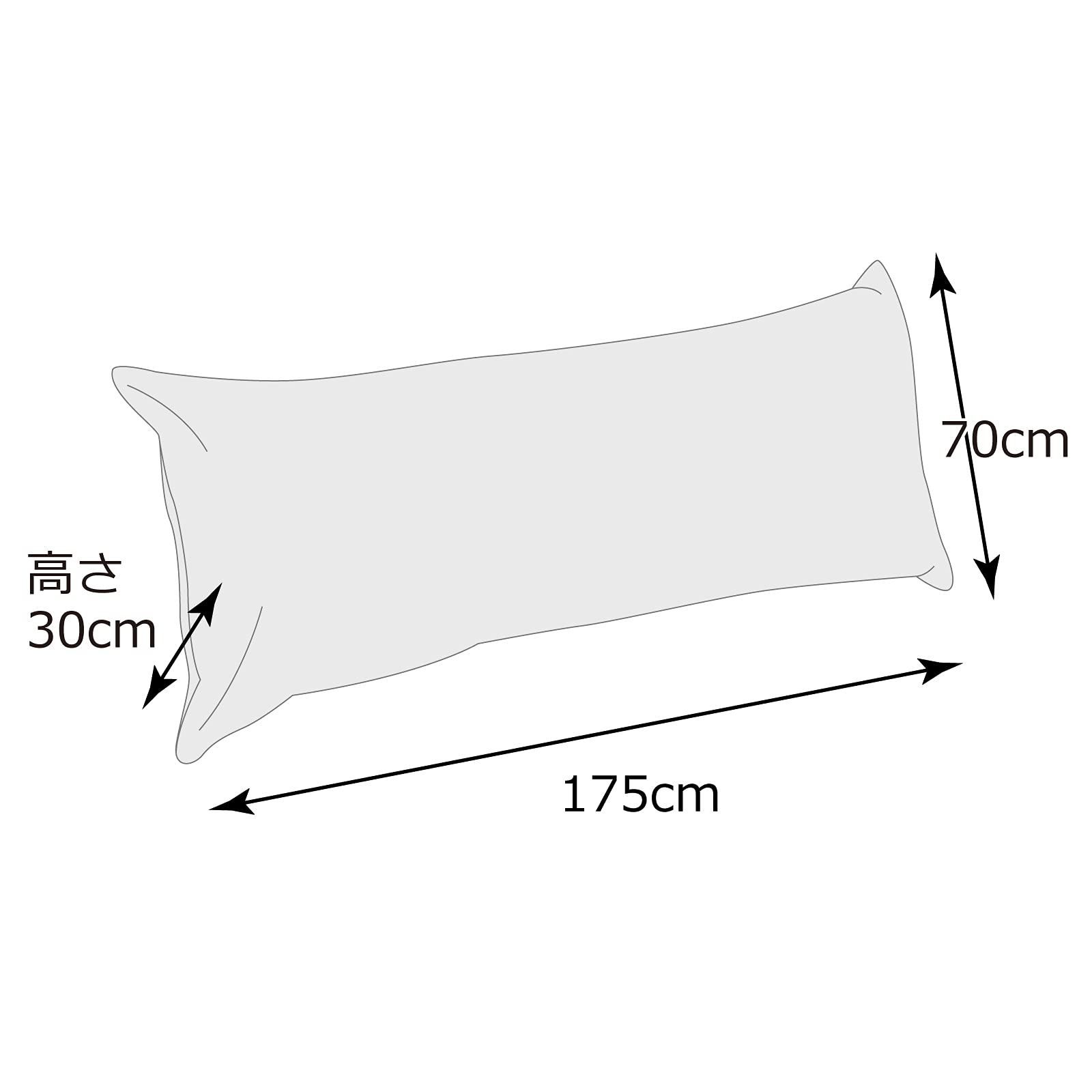ビッグクラウド フレックス販売