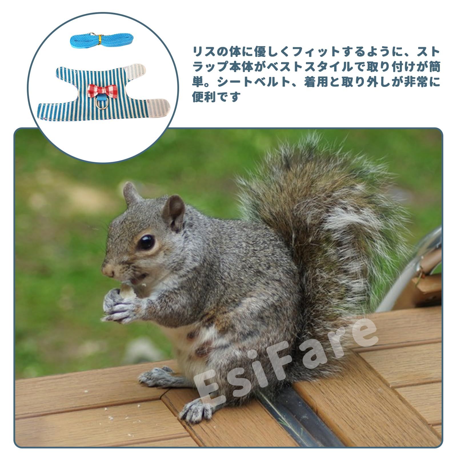 ハーネス ハーネス