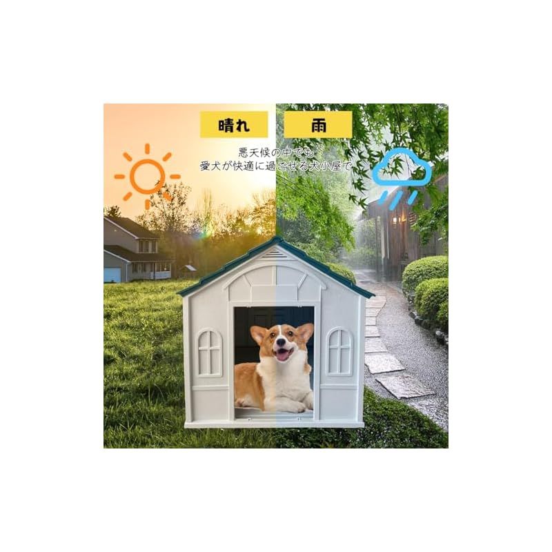 犬舎