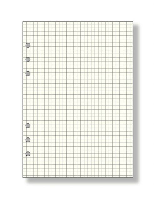 まとめ レイメイ藤井 ダヴィンチ リフィル A5 方眼ノート 5.0mm方眼 DAR282 ×30セット